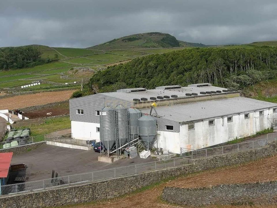 Erhvervsejendom i Feteira, Terceira - foto 2