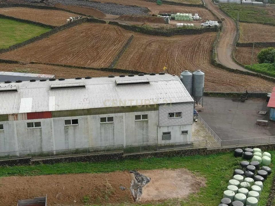 Erhvervsejendom i Feteira, Terceira - foto 4