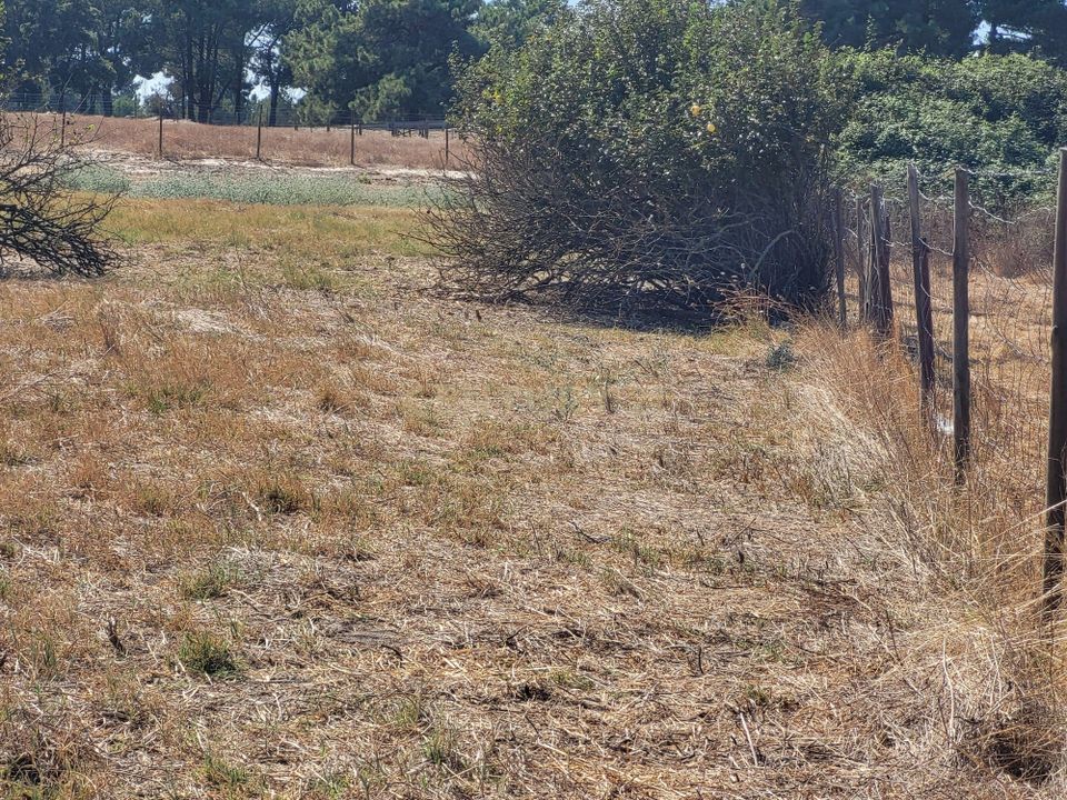 Helårsgrund i Barreiro, Setubal - foto 3