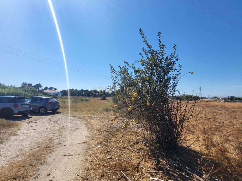 Helårsgrund i Barreiro, Setubal - foto 5