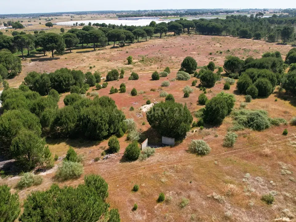Helårsgrund i Montijo, Setubal - foto 1