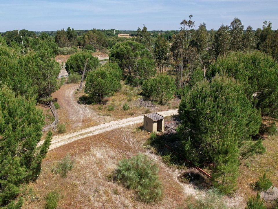 Helårsgrund i Montijo, Setubal - foto 4