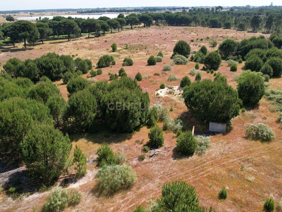 Helårsgrund i Montijo, Setubal - foto 5