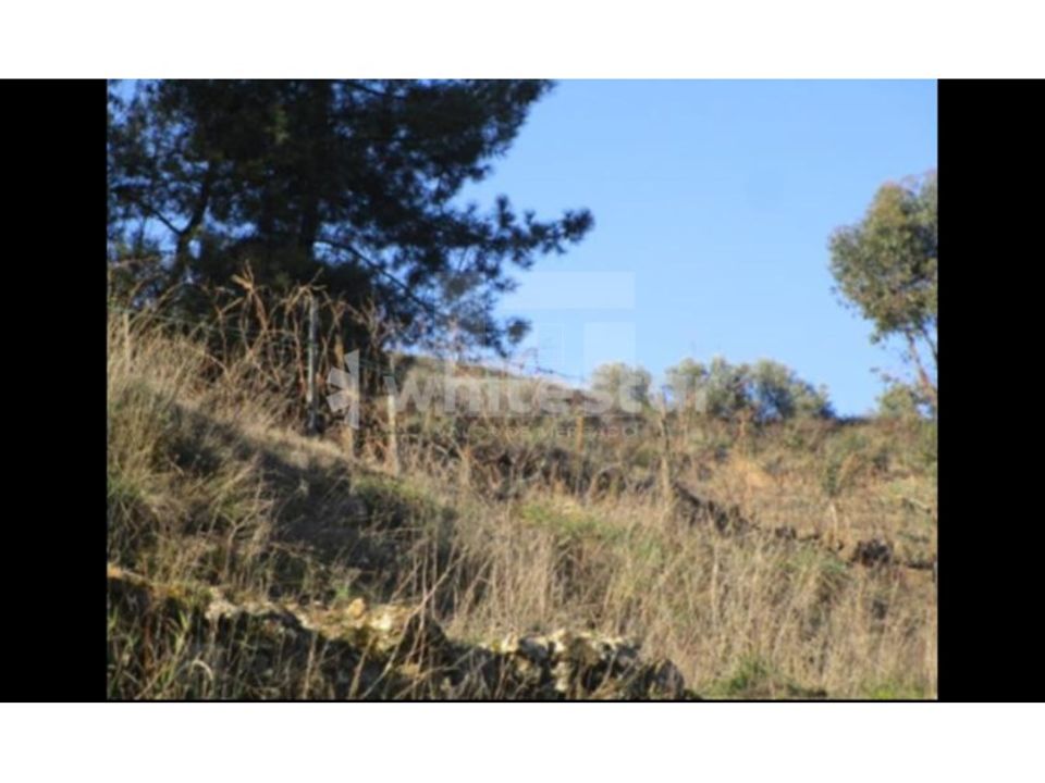 Helårsgrund i Ervedosa do Douro, Viseu - foto 1