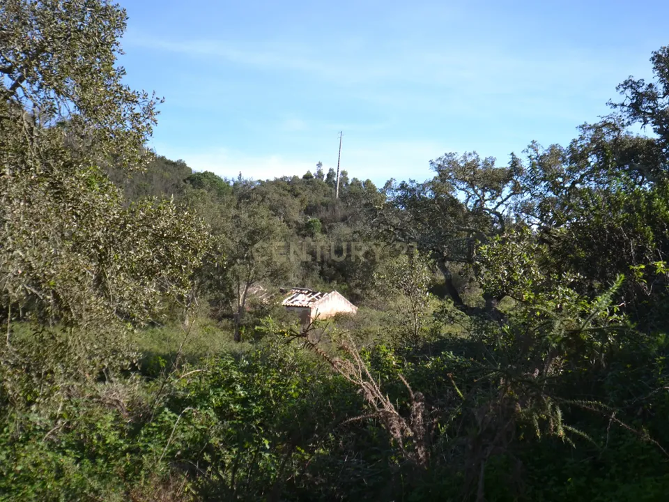 Helårsgrund i Cercal do Alentejo, Setubal - foto 1