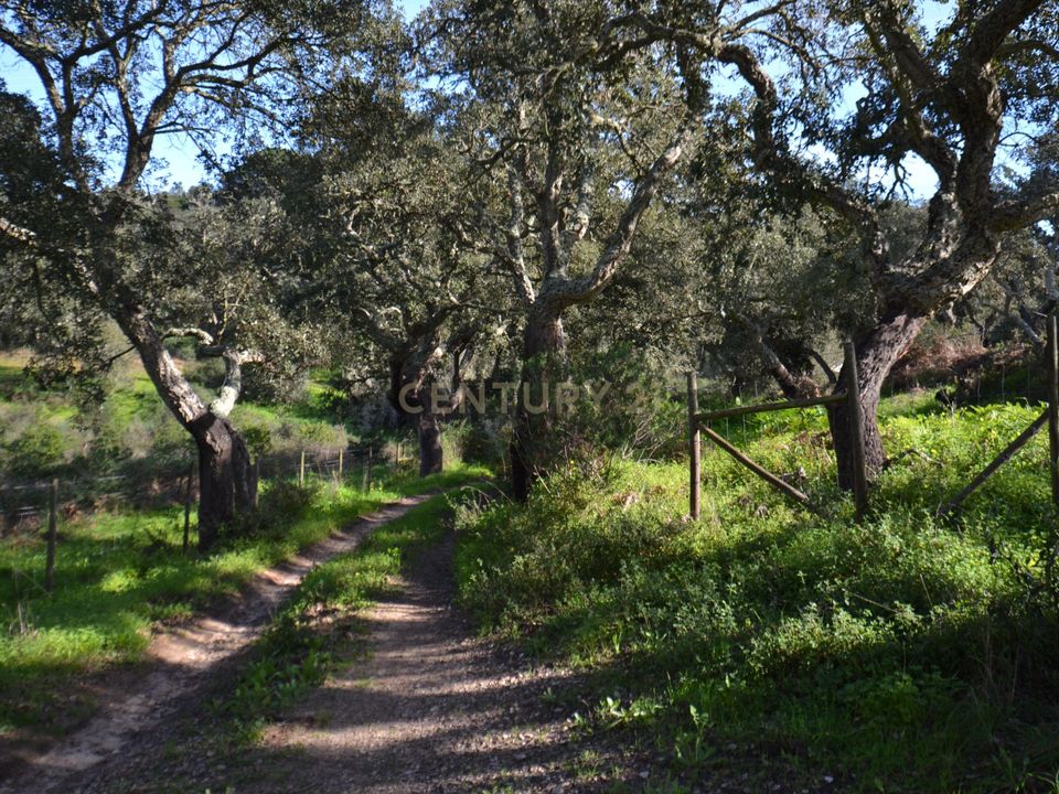 Helårsgrund i Cercal do Alentejo, Setubal - foto 2