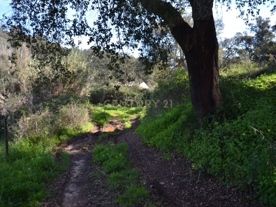 Helårsgrund i Cercal do Alentejo, Setubal - foto 3