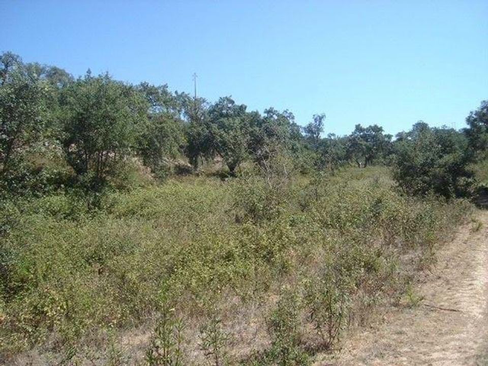 Helårsgrund i Cercal do Alentejo, Setubal - foto 5