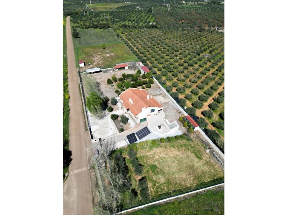 Farm i Elvas, Portalegre - foto 1