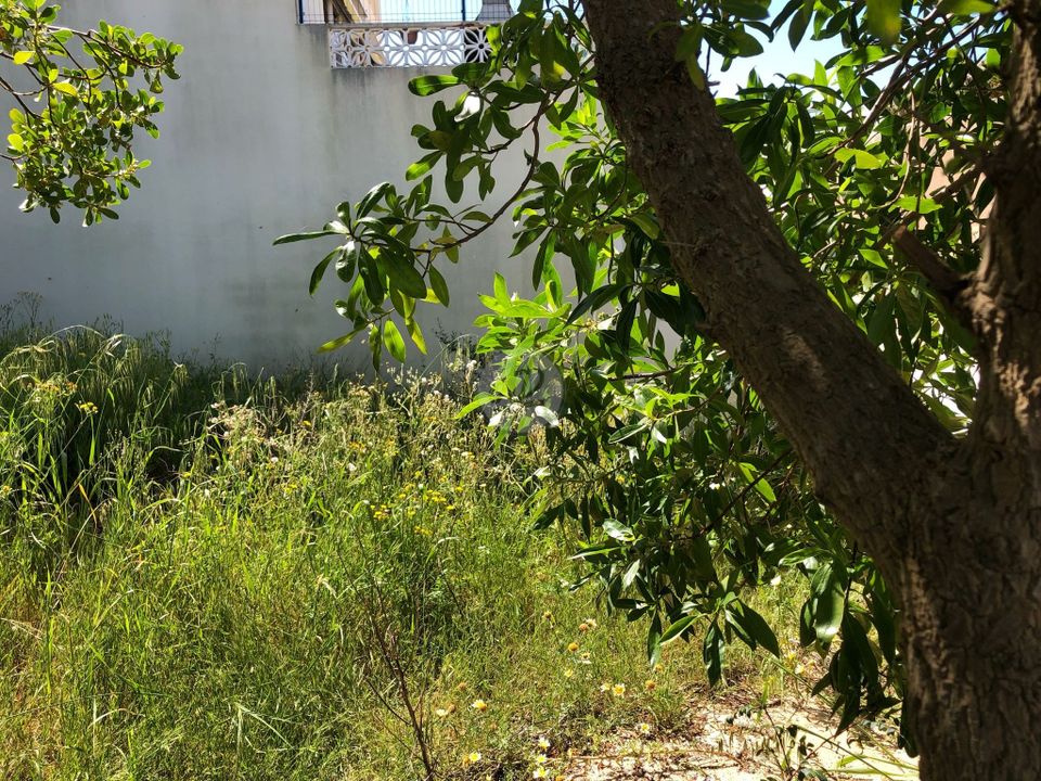 Helårsgrund i Estombar, Faro - foto 4