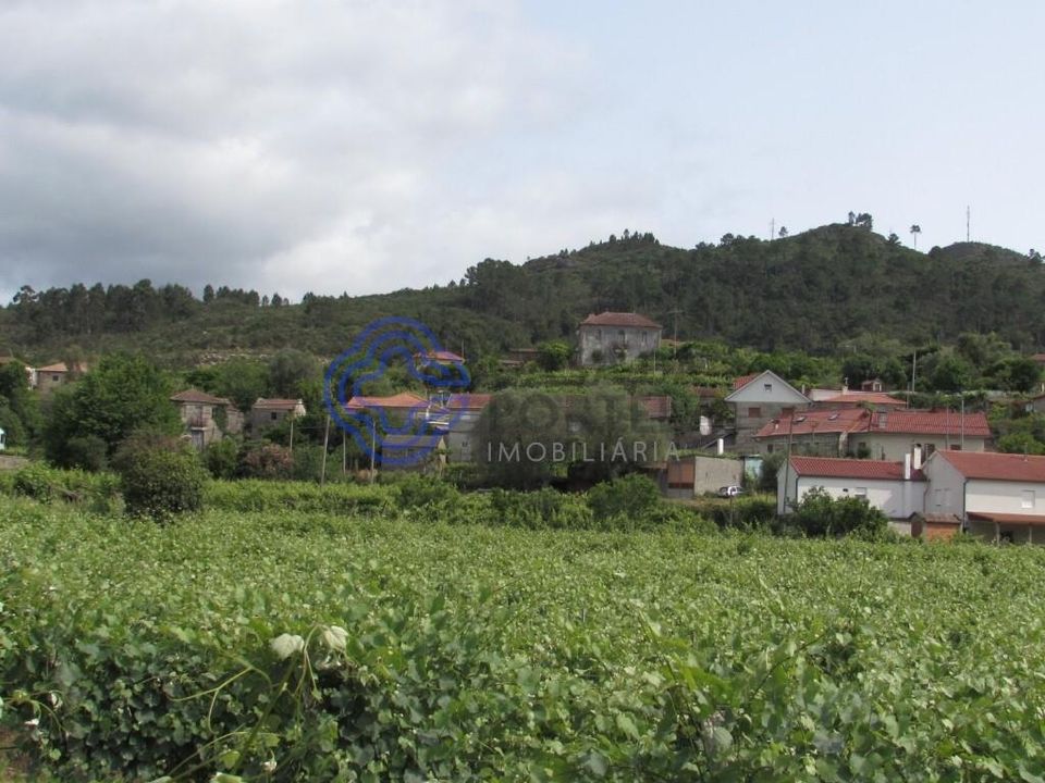 Farm i Moncao, Viana do Castelo - foto 5