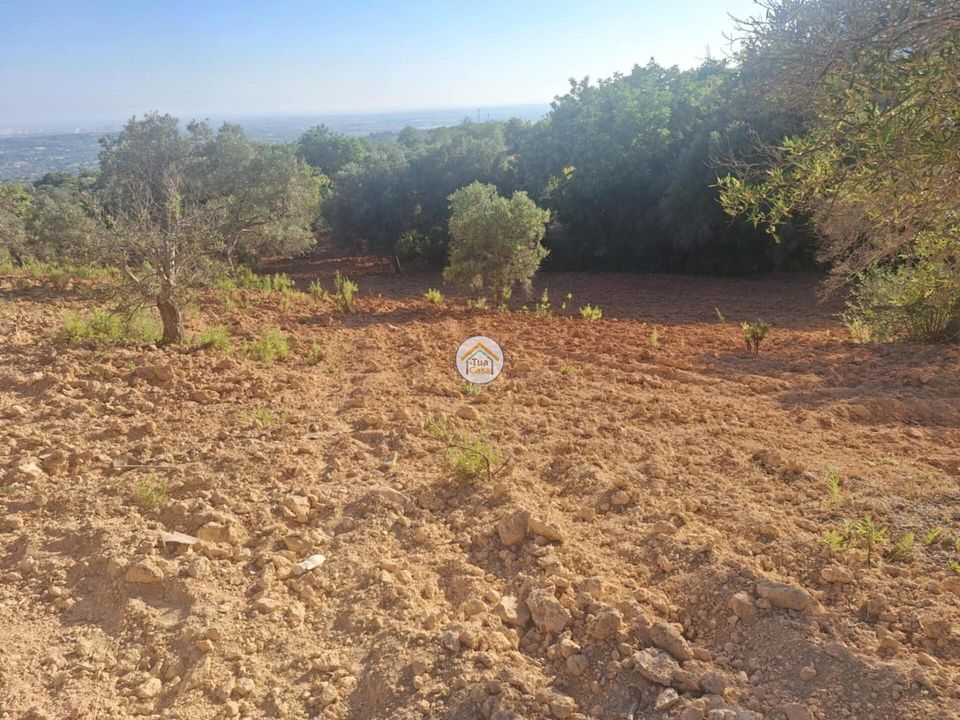 Helårsgrund i Faro, Faro - foto 2
