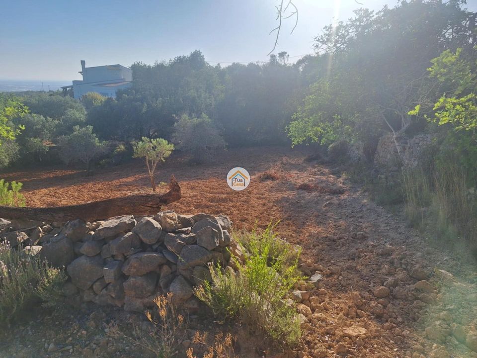 Helårsgrund i Faro, Faro - foto 4