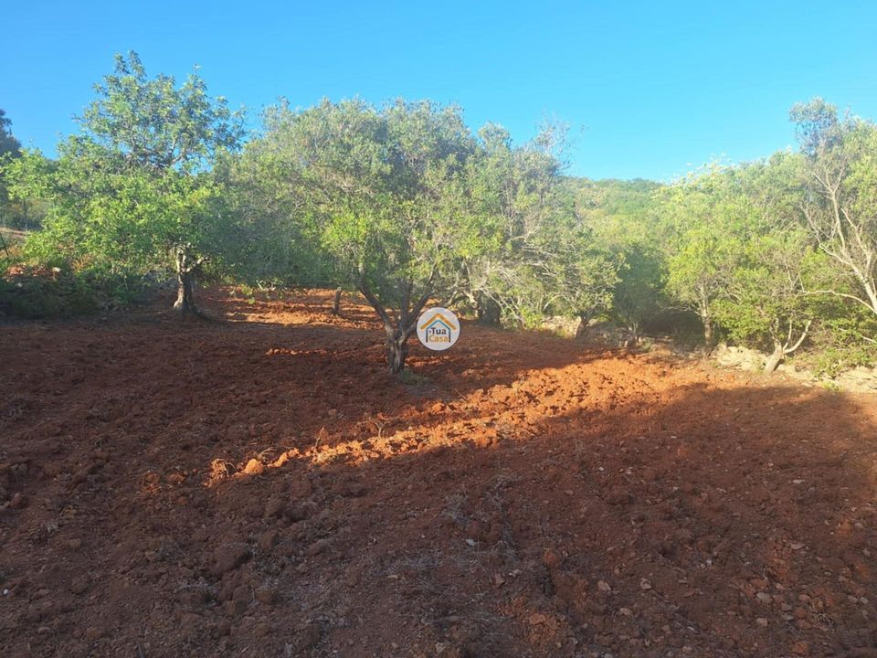 Helårsgrund i Faro, Faro - foto 5