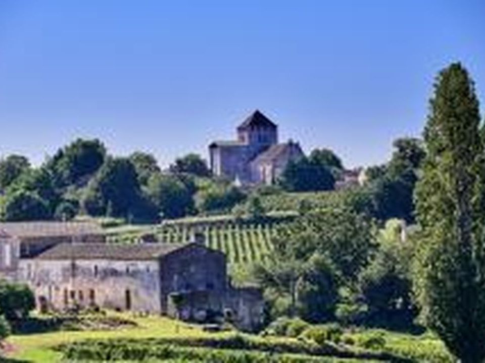 Farm i Saint-Denis-de-Pile, Gironde - foto 3