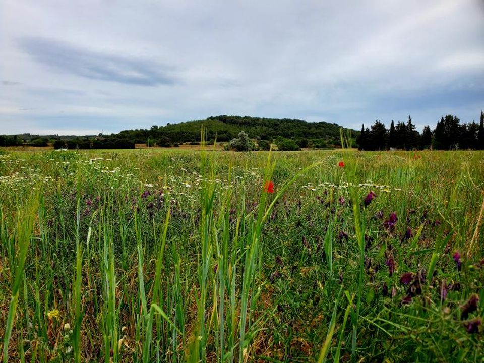 Helårsgrund i Lignan-sur-Orb, Herault - foto 2
