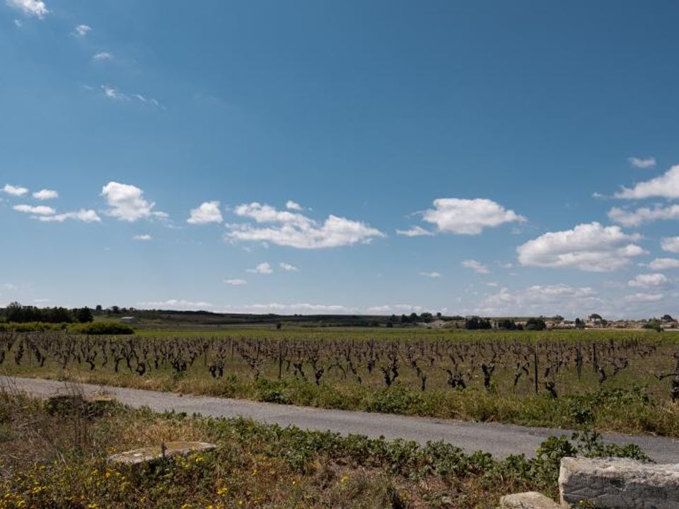 Helårsgrund i Sauvian, Herault - foto 1