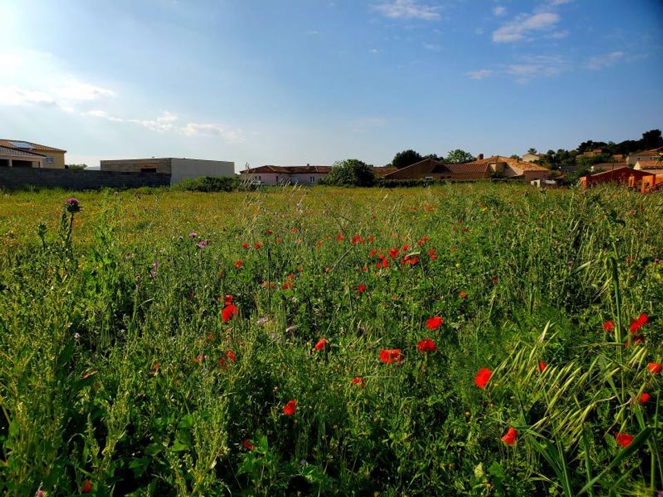Terra em Lespignan, Herault - foto 1