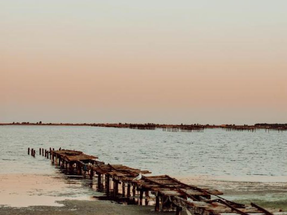 Tomt i Marseillan, Herault - bilde 1