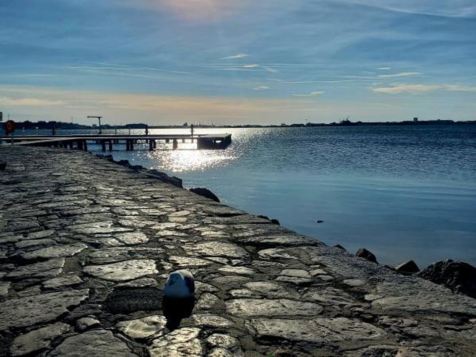 Helårsgrund i Balaruc-le-Vieux, Herault - foto 2