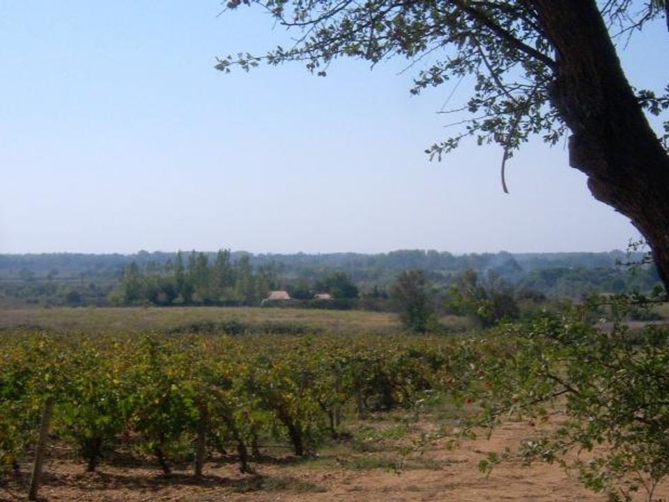 Grond in Vias, Herault - foto 1