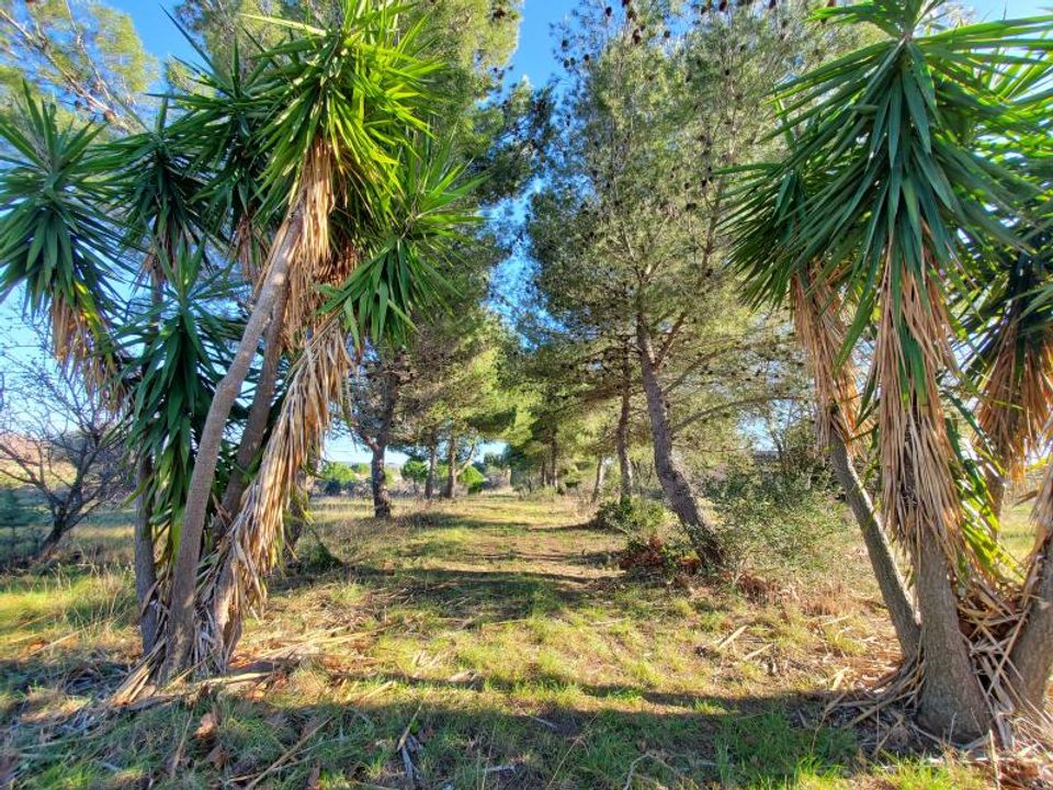 Helårsgrund i Alignan-du-Vent, Herault - foto 2