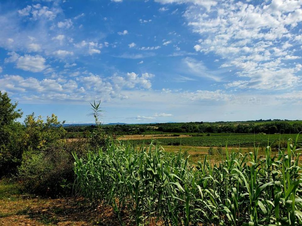 Helårsgrund i Servian, Herault - foto 2