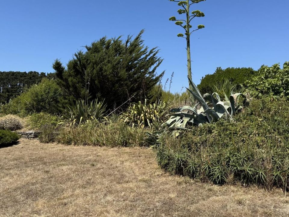 Villa i Sauzon, Morbihan - foto 3