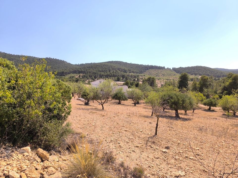 Landejendom i Villena, Alicante - foto 5