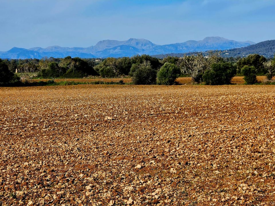 Helårsgrund i Manacor, Mallorca - foto 1
