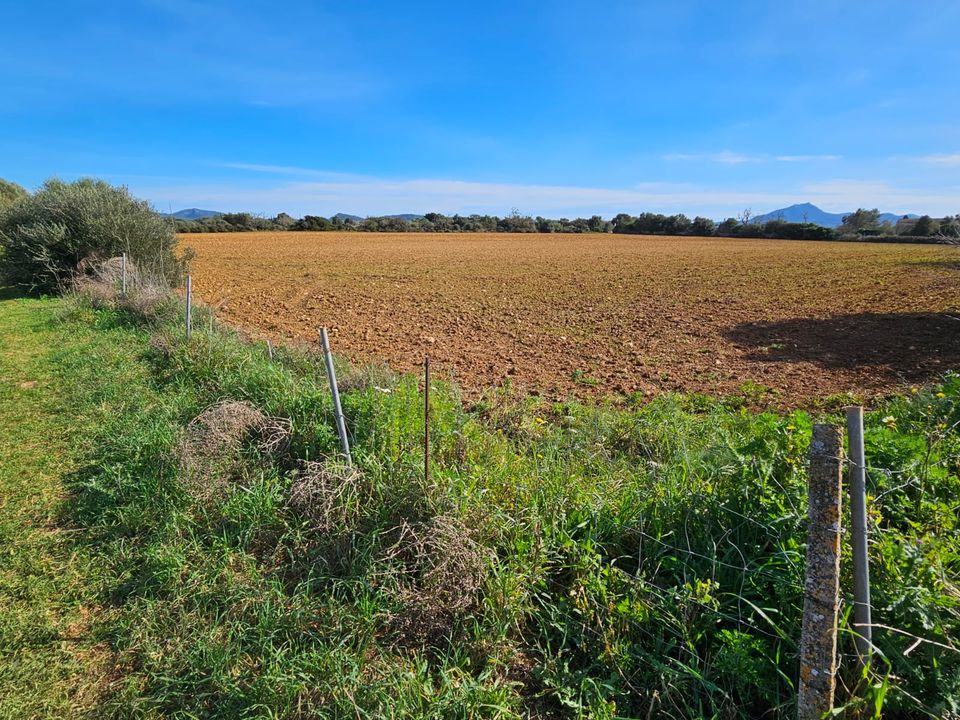 Helårsgrund i Manacor, Mallorca - foto 5