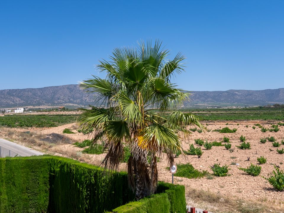 Leilighet i Ubeda, Alicante - bilde 5
