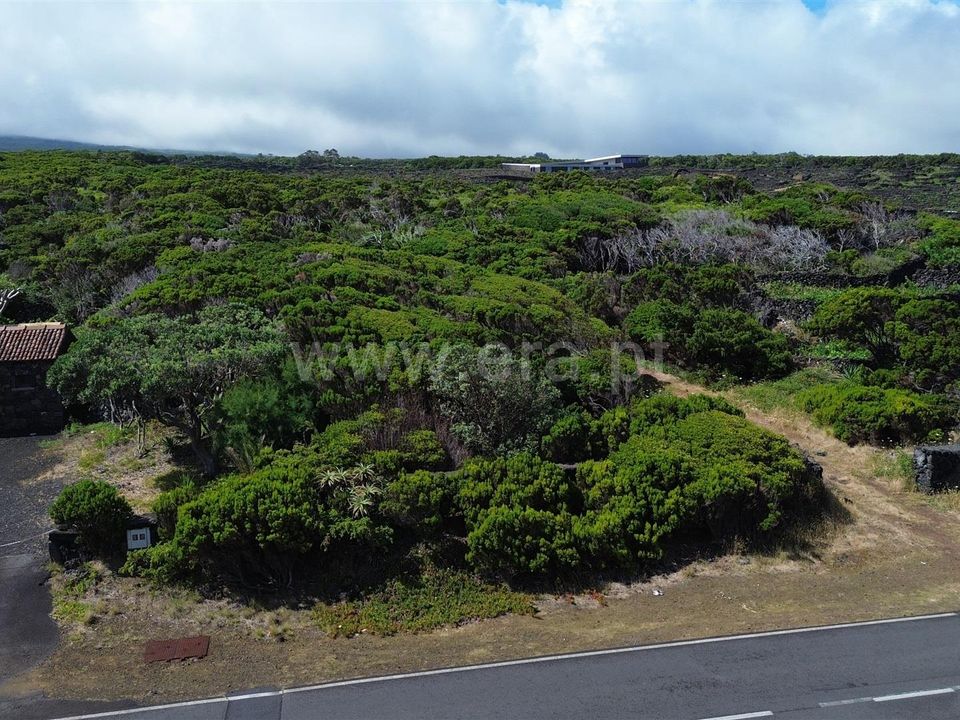 Helårsgrund i Madalena, Pico - foto 2