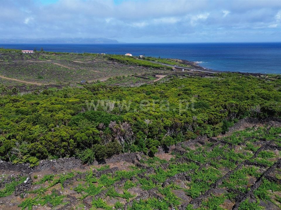 Helårsgrund i Madalena, Pico - foto 5