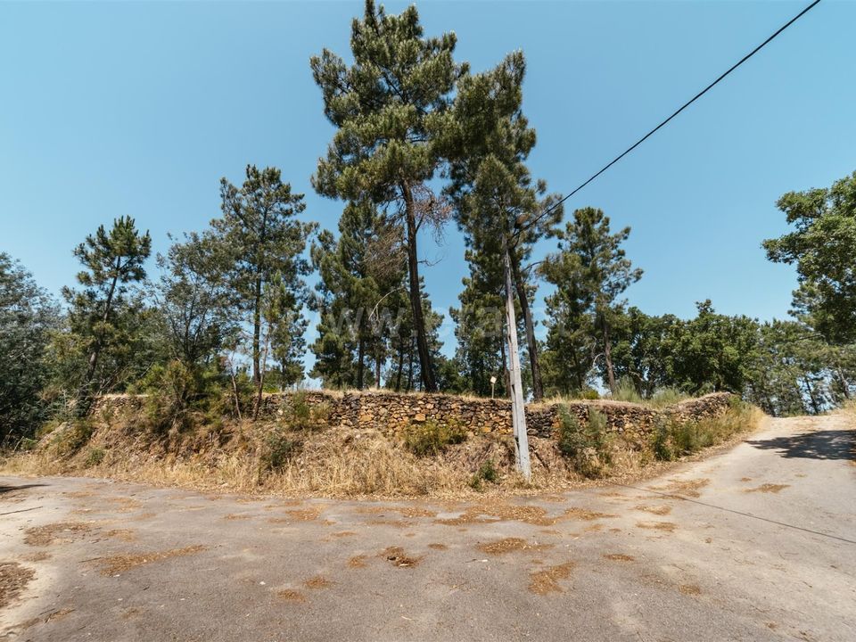 Erhvervsejendom i Covilha, Castelo Branco - foto 3
