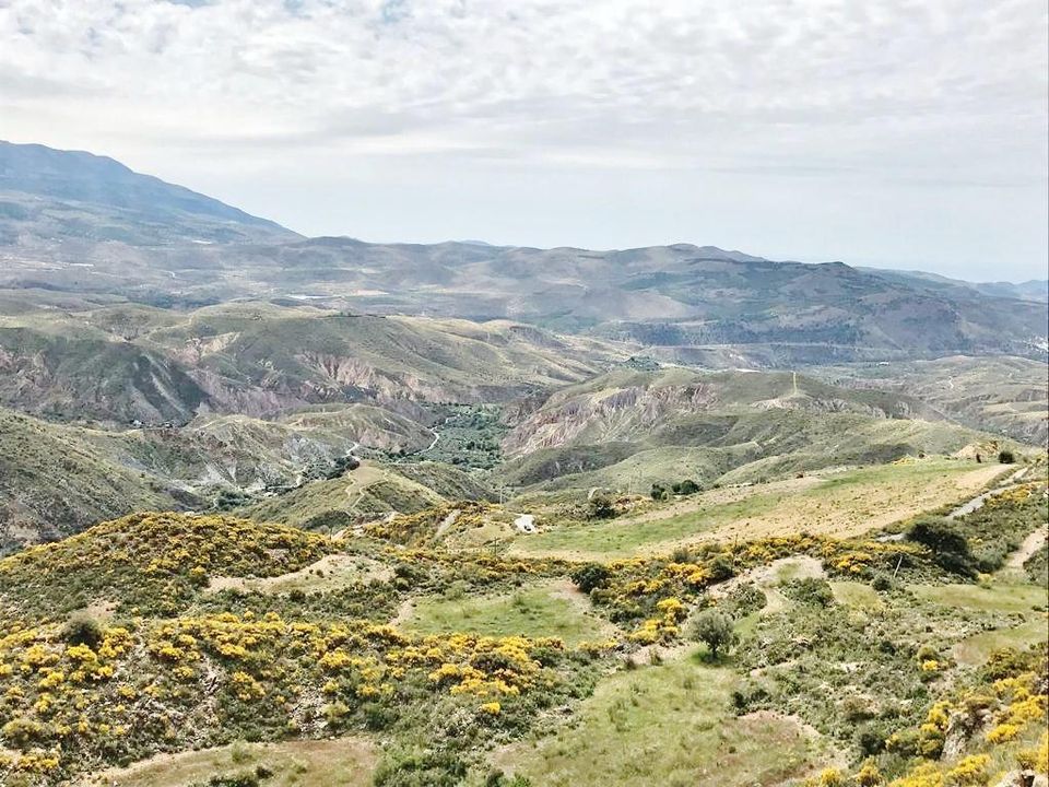 Terra a Ugijar, Granada - foto 5