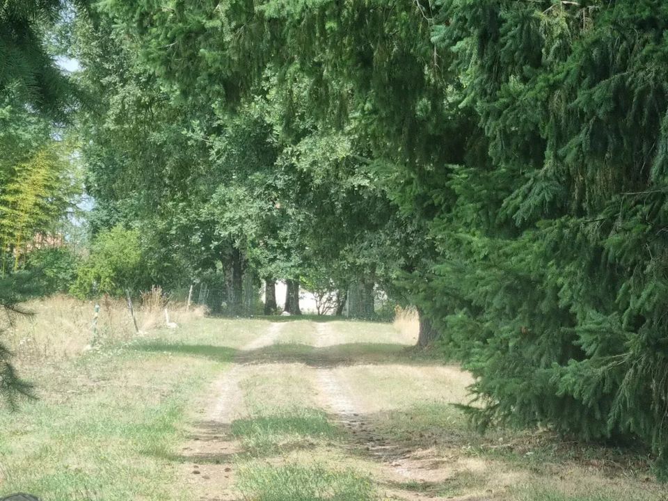 Villa i Agris, Charente - foto 3