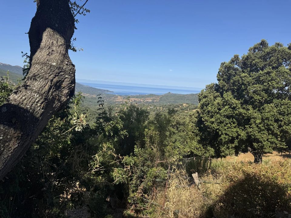 Villa i Sari-D'Orcino, Corse-du-Sud - bilde 5