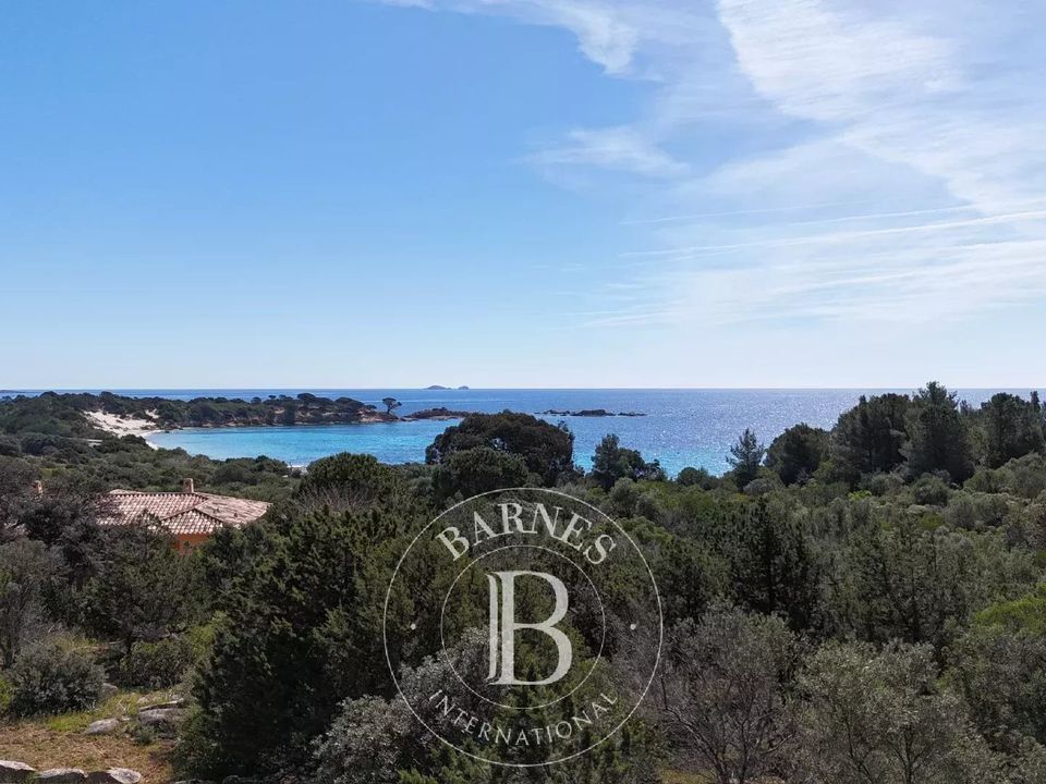 Tomt i Porto-Vecchio, Corse-du-Sud - bilde 3