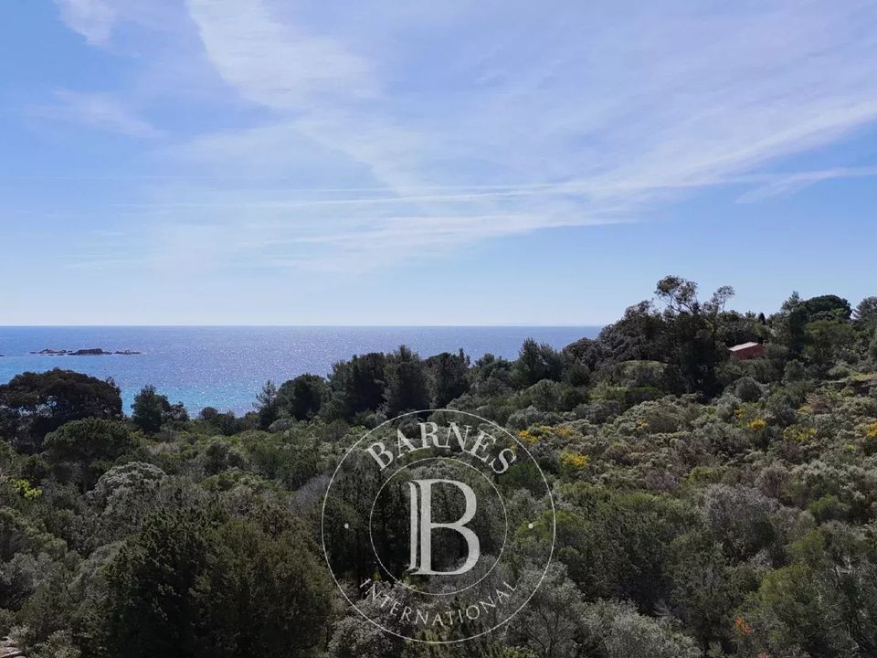 Tomt i Porto-Vecchio, Corse-du-Sud - bilde 5