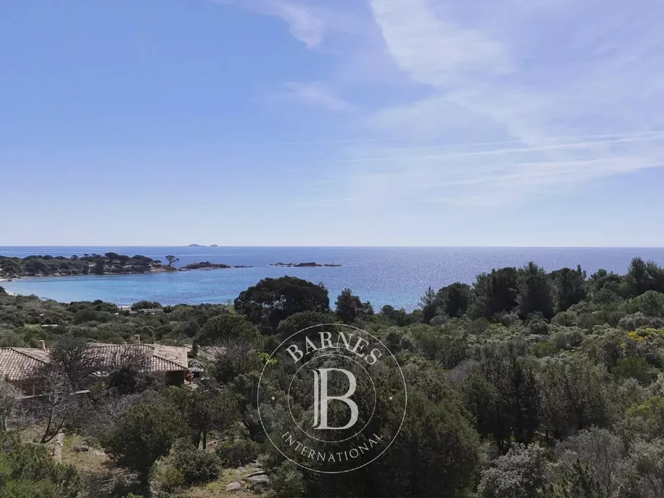 Grond in Porto-Vecchio, Corse-du-Sud - foto 3