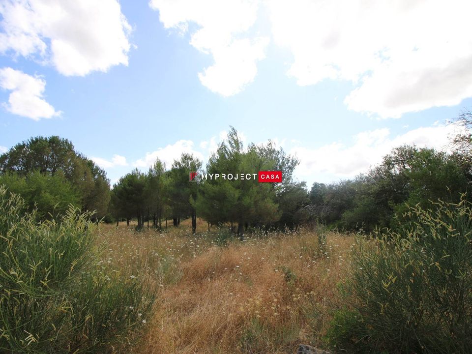 Helårsgrund i Martina Franca, Taranto - foto 3