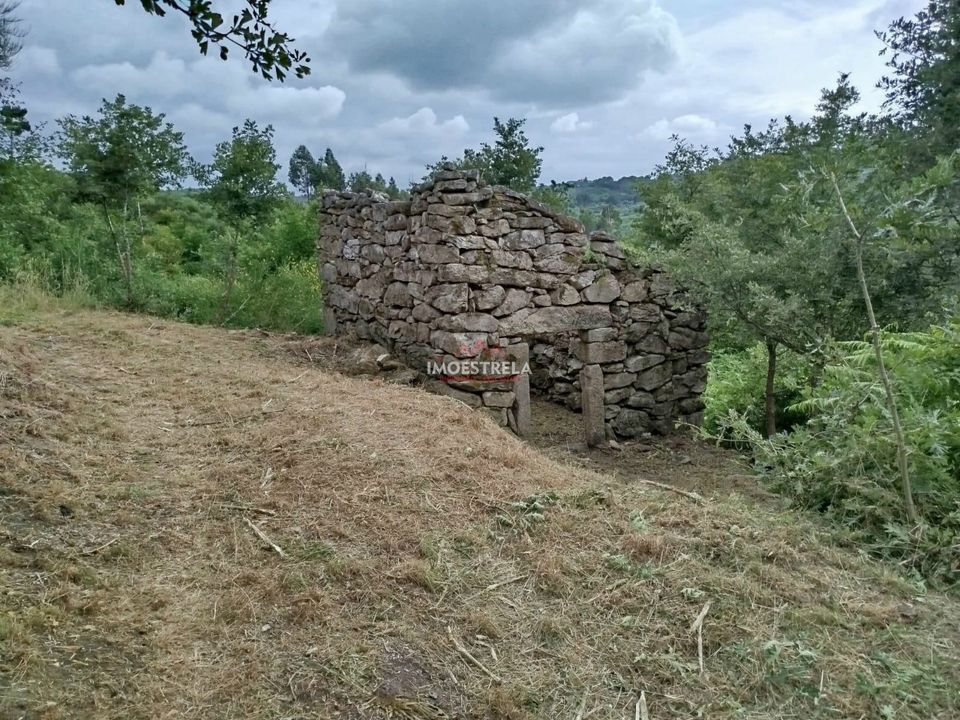 Farm i Oliveira do Hospital, Coimbra - foto 4