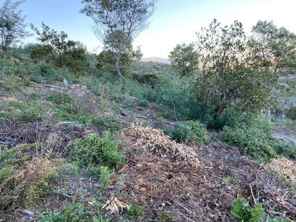 Helårsgrund i Mandelieu-la-Napoule, Alpes-Maritimes - foto 4