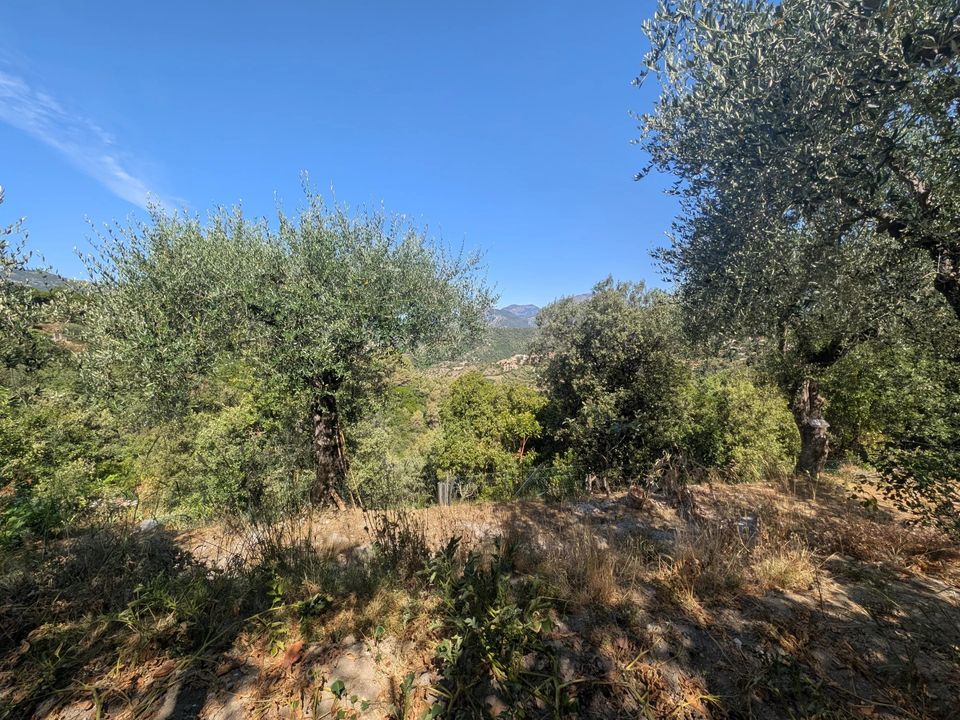 Terra a Saint-Blaise, Alpes-Maritimes - foto 1