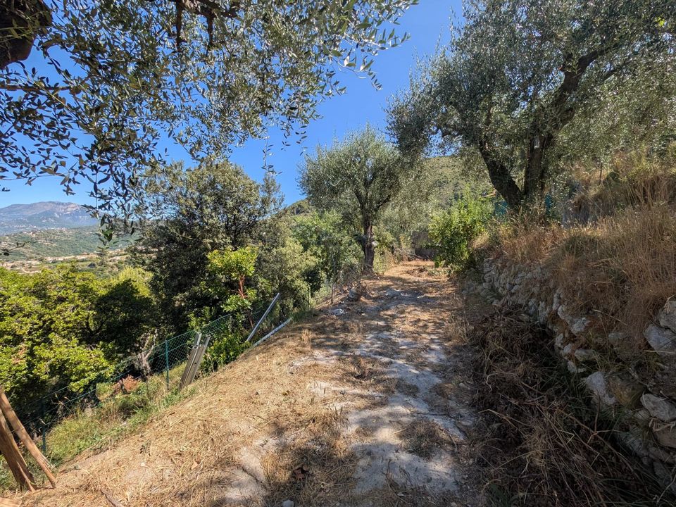 Terra a Saint-Blaise, Alpes-Maritimes - foto 2