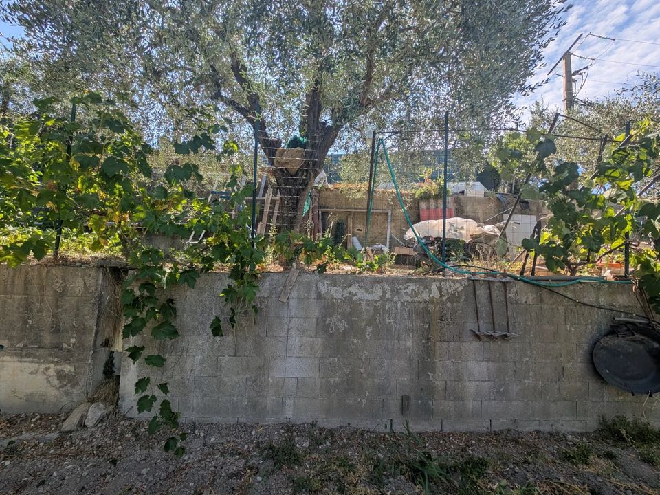 Terra a Saint-Blaise, Alpes-Maritimes - foto 3