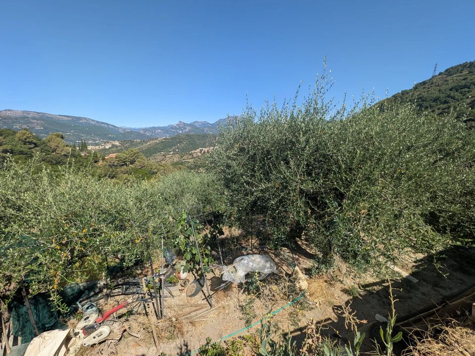 Terra a Saint-Blaise, Alpes-Maritimes - foto 5