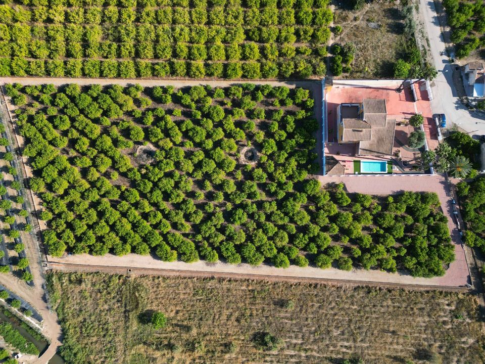 Landejendom i Orihuela, Alicante - foto 3