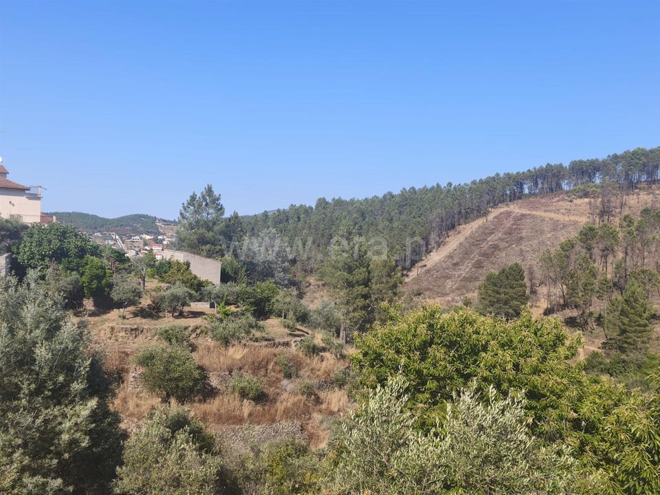 Helårsgrund i Fundao, Castelo Branco - foto 1